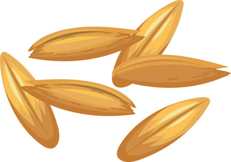 Oat grains falling and rotating on a white background, creating a dynamic and appetizing visual suitable for food and agriculture related projectsのイラスト素材