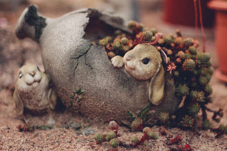 Postcard. Garden sculpture. Hares in a jug. Succulent.の写真素材
