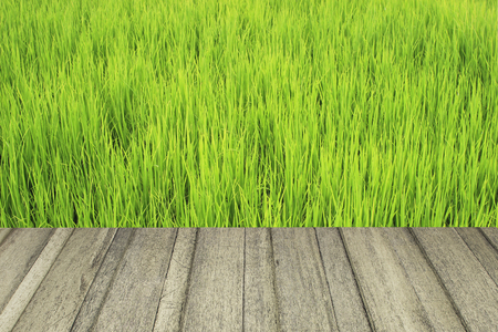 Wood texture and green field for back groundの写真素材