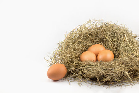 Four eggs and nest grass on white