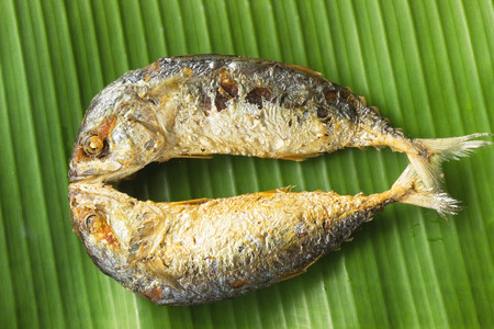 two mackerel on banana leafsの写真素材