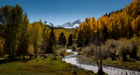 Fall Creekside