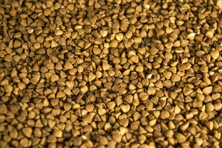 Brown buckwheat texture closeupの写真素材