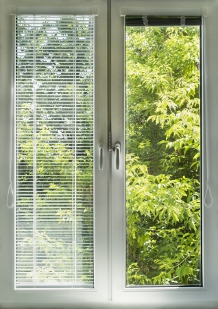 Window with blinds overlooking green gardenの写真素材