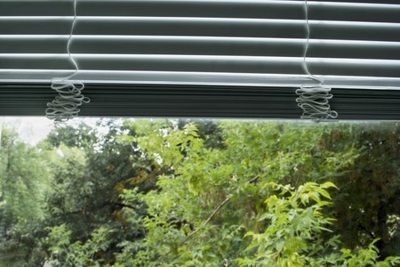 View of the green threes through the half opened blinds on the windowの写真素材