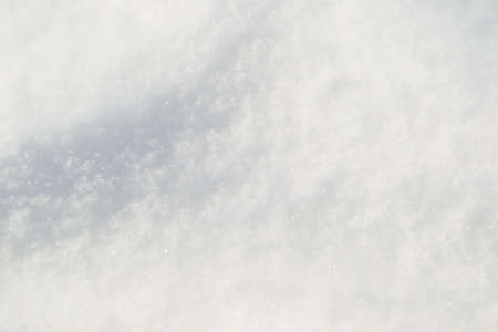 Fluffy clear white snow closeup as a backgroundの写真素材