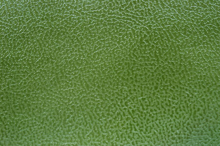Green colored leather as a backgroundの写真素材