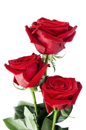 Bouquet of three red roses isolated over whiteの写真素材