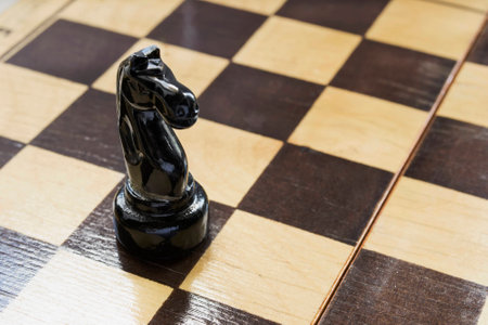 Black chess knight on blank chessboard as a backgroundの写真素材
