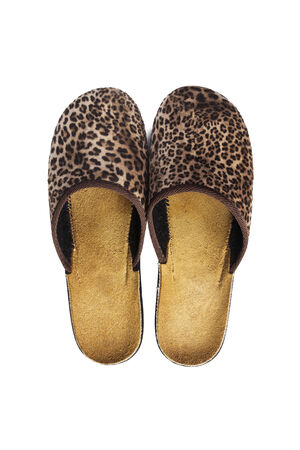 Pair of leopard printed home slippers isolated over whiteの写真素材