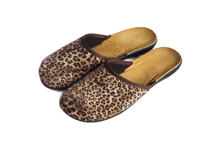 Leopard printed home slippers on white backgroundの写真素材