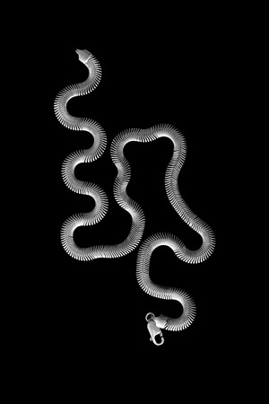 Beautiful silver chain on black backgroundの写真素材