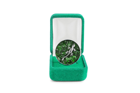 Emerald brooch with silver lizard in jewel box on white backgroundの写真素材