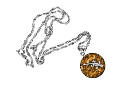 Amber pendant with silver lizard isolated over whiteの写真素材