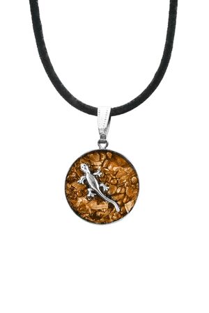Amber medallion with silver lizard on white backgroundの写真素材