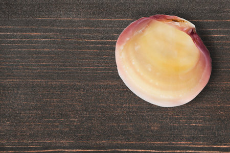 Seashell on brown wooden desk as a backgroundの写真素材