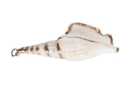 Decorative gilded seashell isolated over whiteの写真素材
