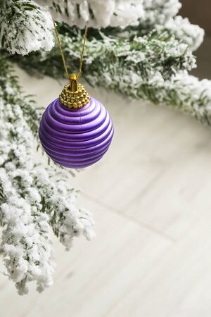 Purple christmas ball on snowy fir-tree branch closeupの写真素材