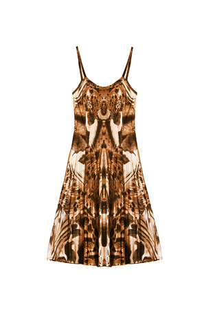 Terracotta printed silk sundress on white backgroundの写真素材