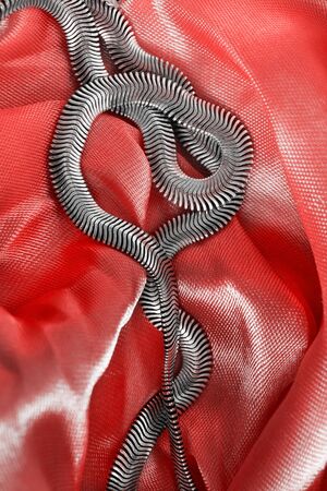 Silver chain on draped red satin as a backgroundの写真素材