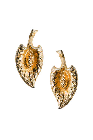 Golden earrings in the shape of leaves on white backgroundの写真素材