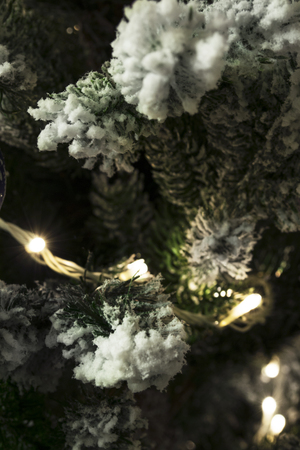 Flash lights on snowy christmas tree branches closeupの写真素材