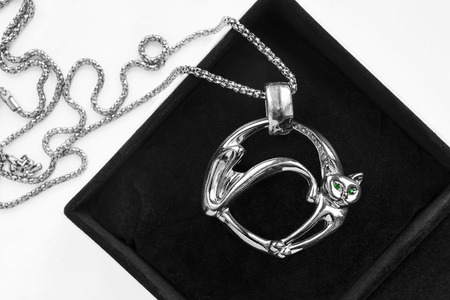 Silver pendant in the shape of a cat in black jewel box closeupの写真素材