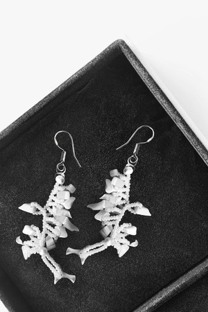 Pair of white pearl earrings in black jewel box closeupの写真素材