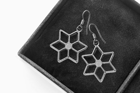 Star shaped metallic earrings in black jewel boxの写真素材