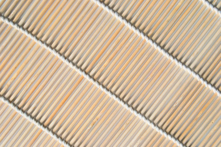 Yellow striped bamboo mat closeup as a backgroundの写真素材