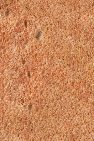 Brown bread rusk texture closeup as a background