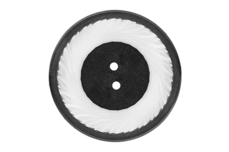 Black and white plastic sewing button isolated on white background