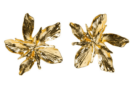 Large gold flowers earrings isolated on white backgroundの写真素材