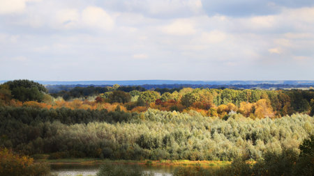 Autumn colorful foliage forest landscape and cloudy sky viewの写真素材