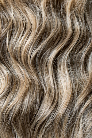 Balayage blond wavy hairstyle closeup as a backgroundの写真素材