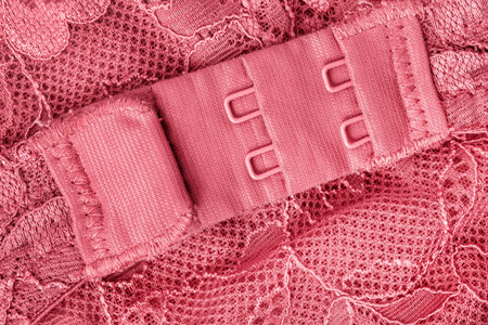 Rose color lace bra clasp with hooks closeupの写真素材