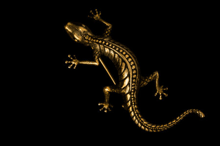 Old golden lizard brooch isolated on black backgroundの写真素材