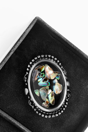 Vintage silver brooch with nacre and enamel in black jewel box closeupの写真素材