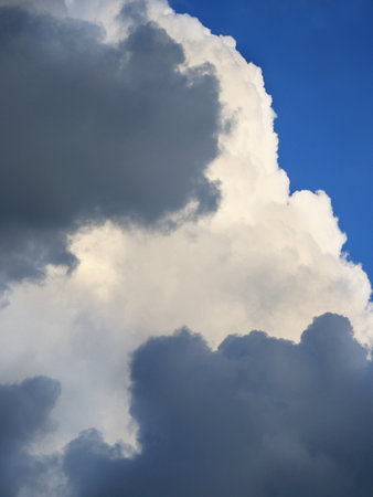 Cumulus white and gray clouds details in the skyの写真素材