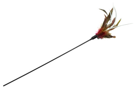 Colorful feather wand cat's toy isolated on white backgroundの写真素材