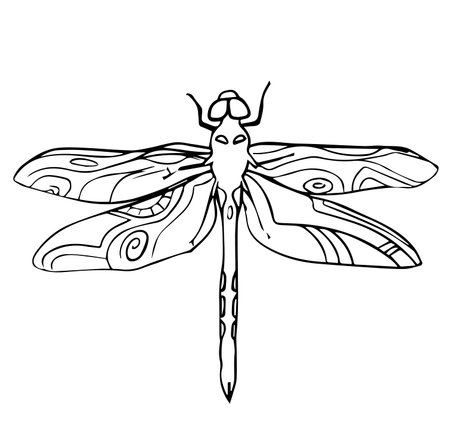 Hand drawn dragonfly insect scribble icon symbol illustration black linesのイラスト素材