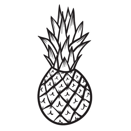 Pineapple vector hand drawn illustration iconのイラスト素材