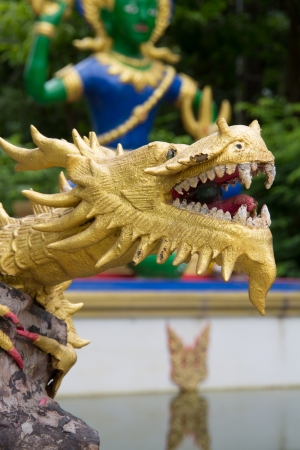 dragon in templeの写真素材
