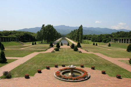 Poplars and canalsの写真素材