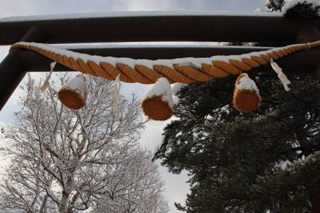 Toriiのeditorial素材