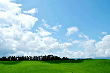 A rural scenery of town Biei of the hill and a white cloud and the blue skyの写真素材