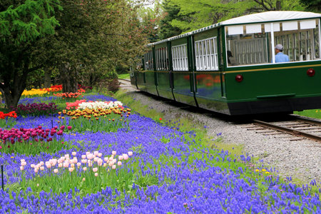 Sapporo Yurigahara Park trainの写真素材