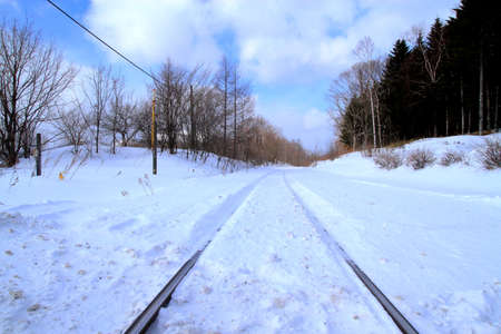 Winter landscape of Hokkaidoの写真素材