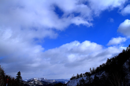 Winter landscape of Hokkaidoの写真素材