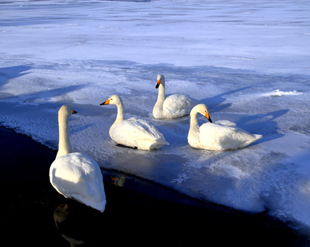 Lake Kussharo, Eastern in Hokkaido of winter, Japanの写真素材
